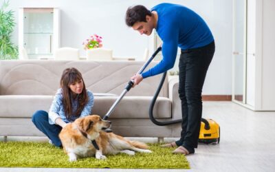 Flowbee for Dogs: important to Know before Using
