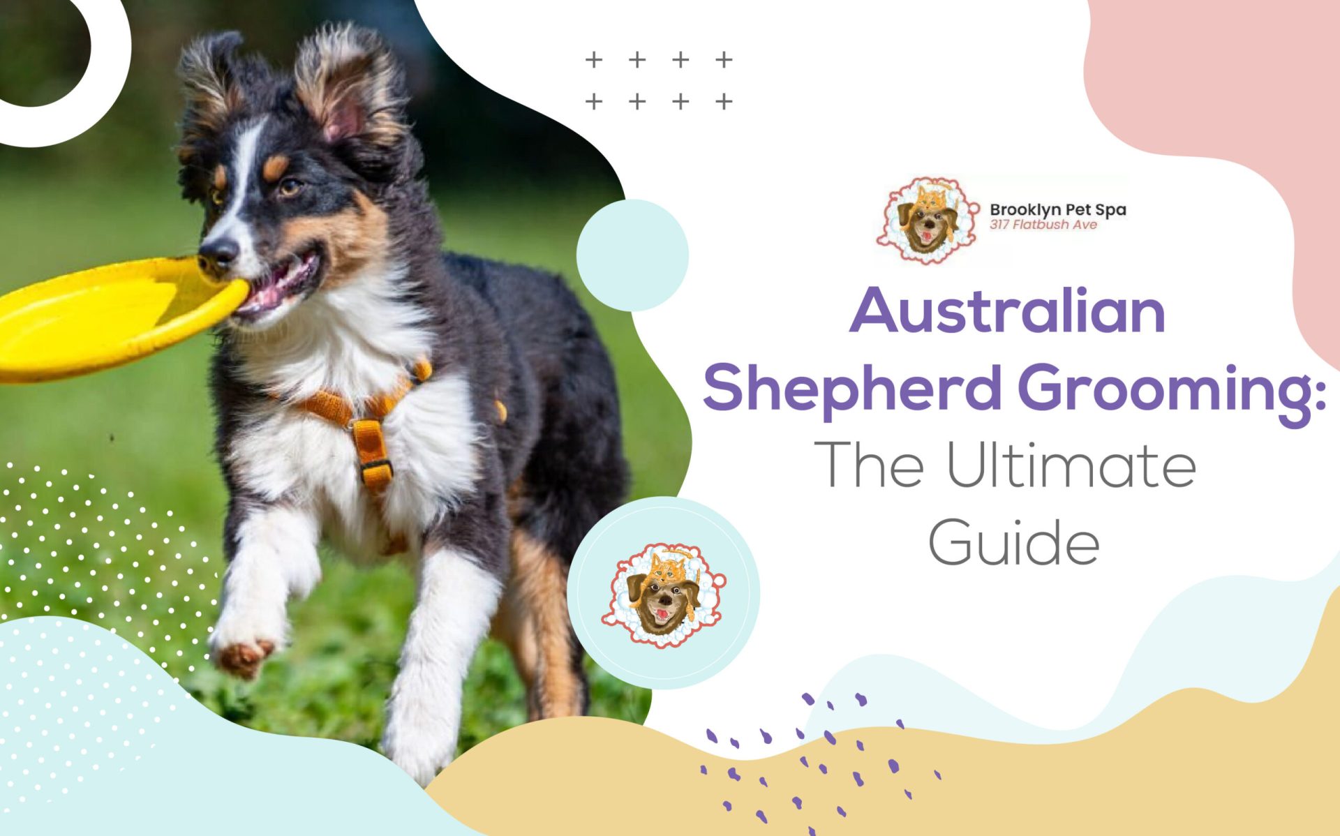 how often should i bathe my australian shepherd