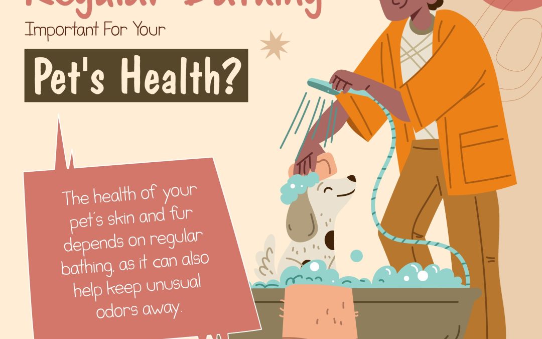 Why Is Regular Bathing Important For Your Pet’s Health?