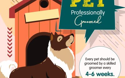 Reasons To Have Your Pet Professionally Groomed