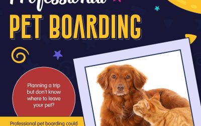 Surprising Benefits Of Professional Pet Boarding