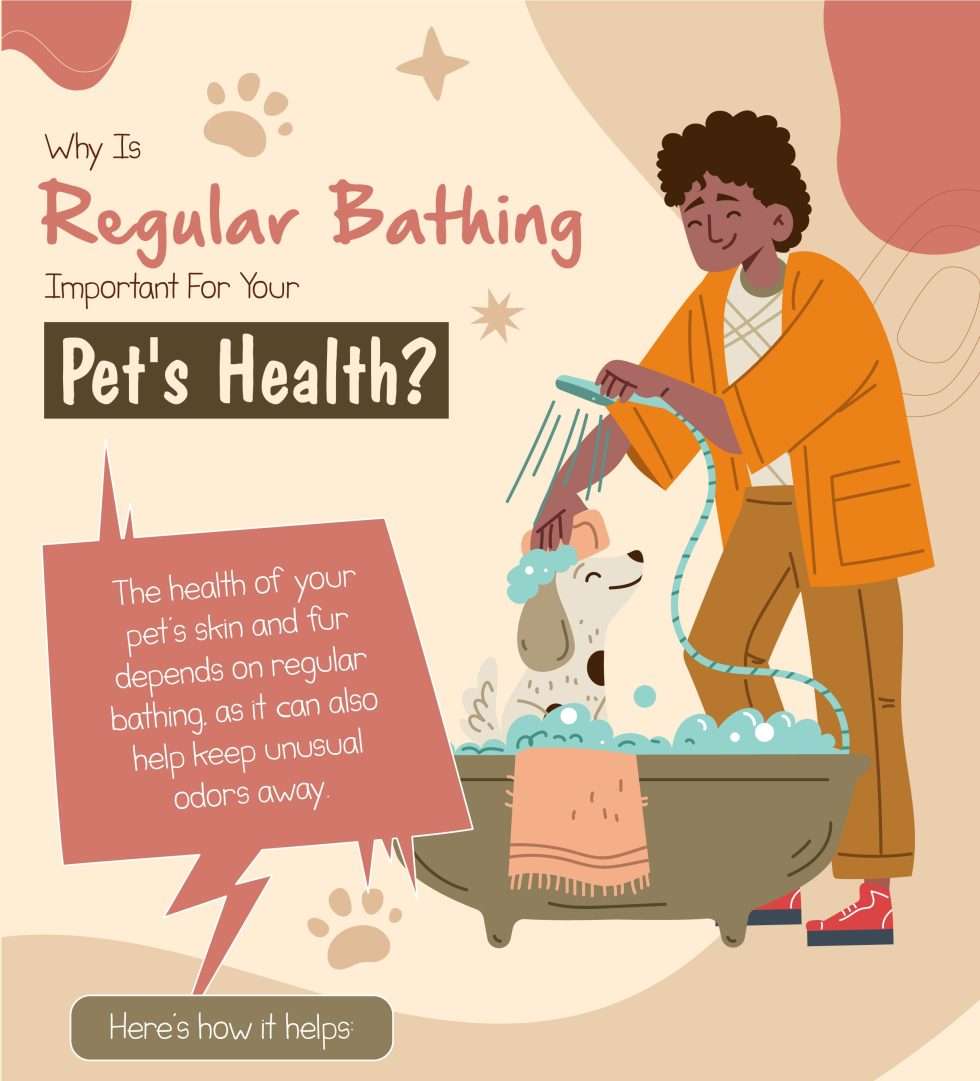 Read more about the article The Significance of Regular Bathing for Your Pet’s Health