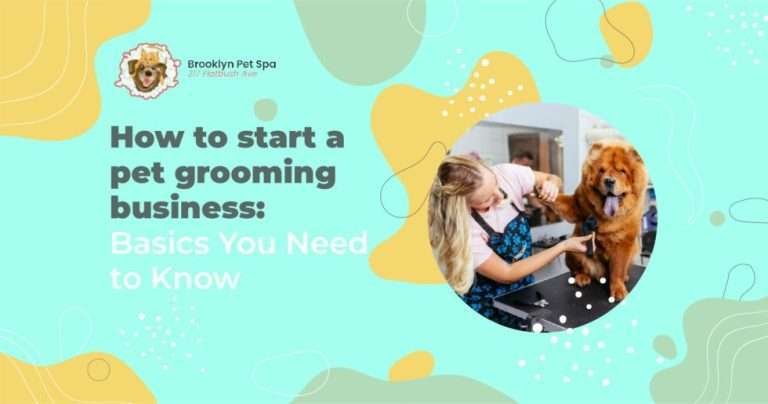 Image showcasing How to Start a Pet Grooming Business | Basics You Need to Know ...