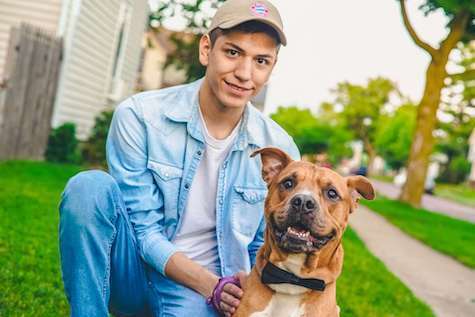 Read more about the article Dog Daycare: A Day of Fun, Love, and Play at Brooklyn Pet Spa