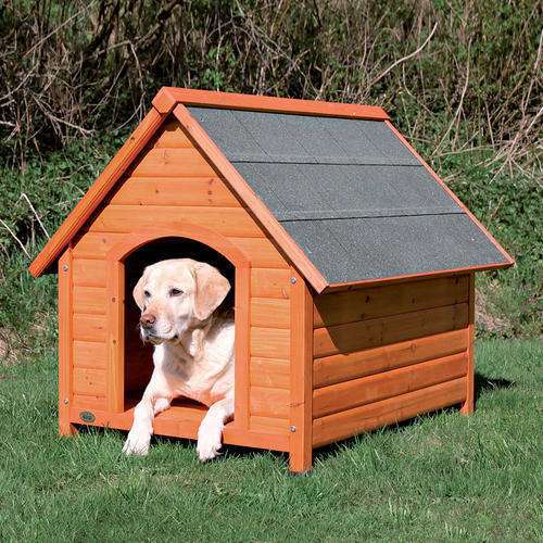 dog house 500x500 1