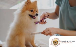 thinning-shears-for-dogs