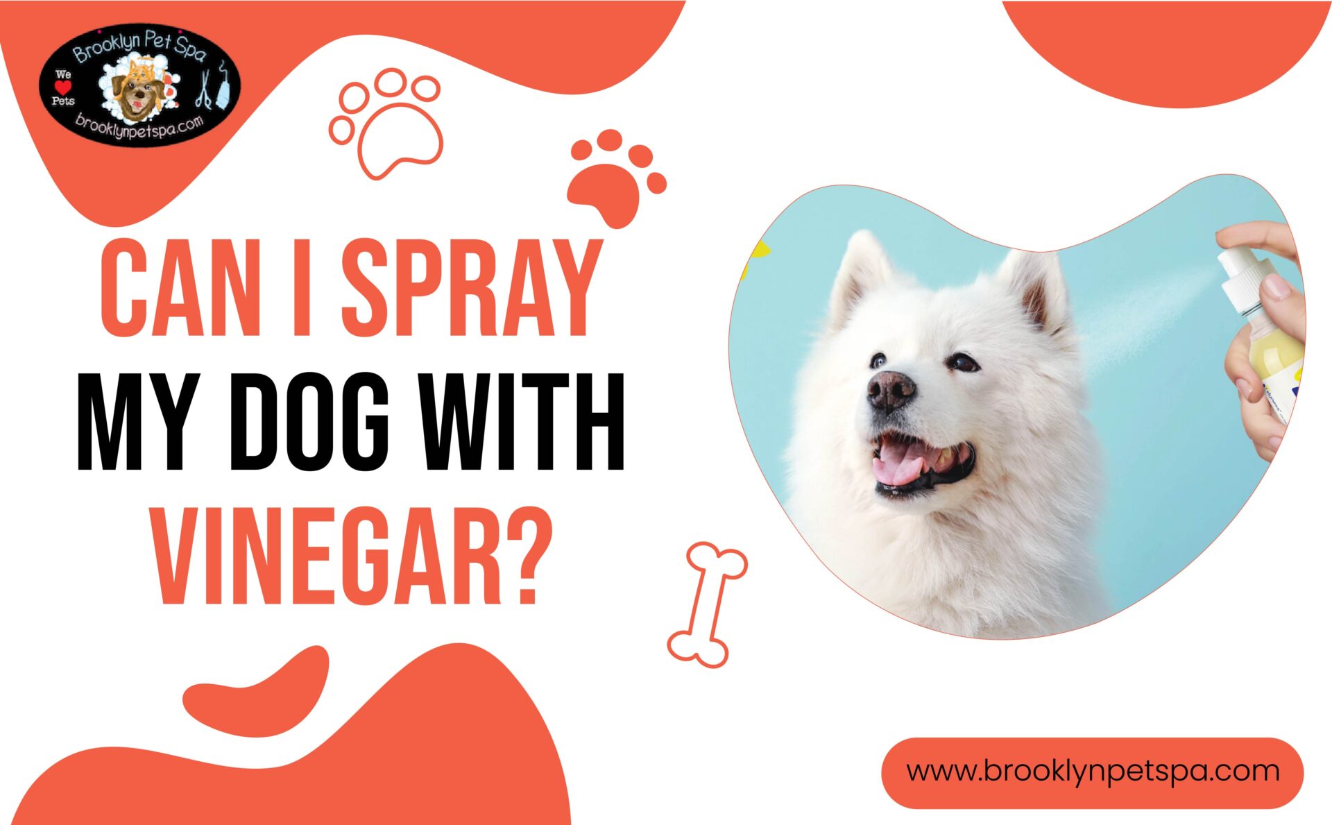 Can I Spray My Dog with Vinegar