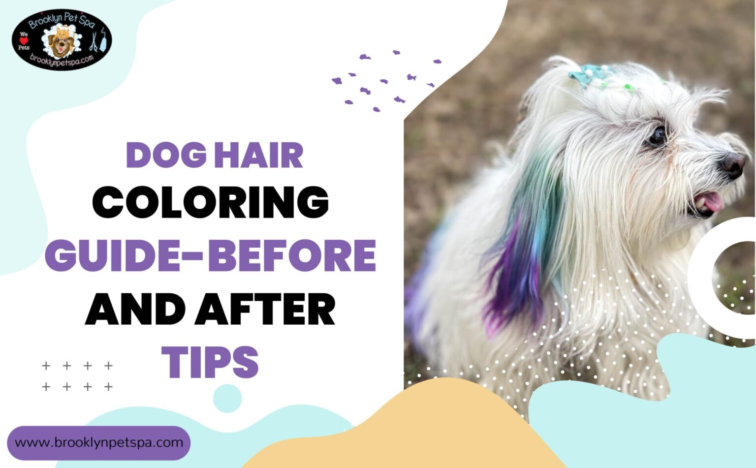 Dog Hair Coloring Guide - Before & After Tips