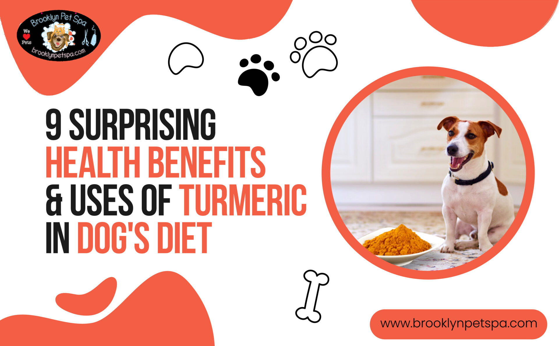 Read more about the article 9 Surprising Health Benefits & Uses of Turmeric in Dogs Diet