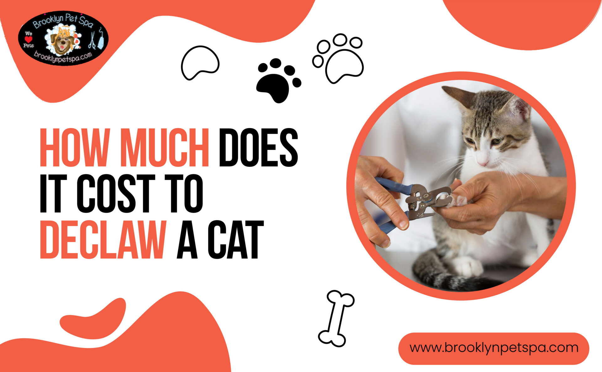 How Much Does it Cost to Declaw a Cat?