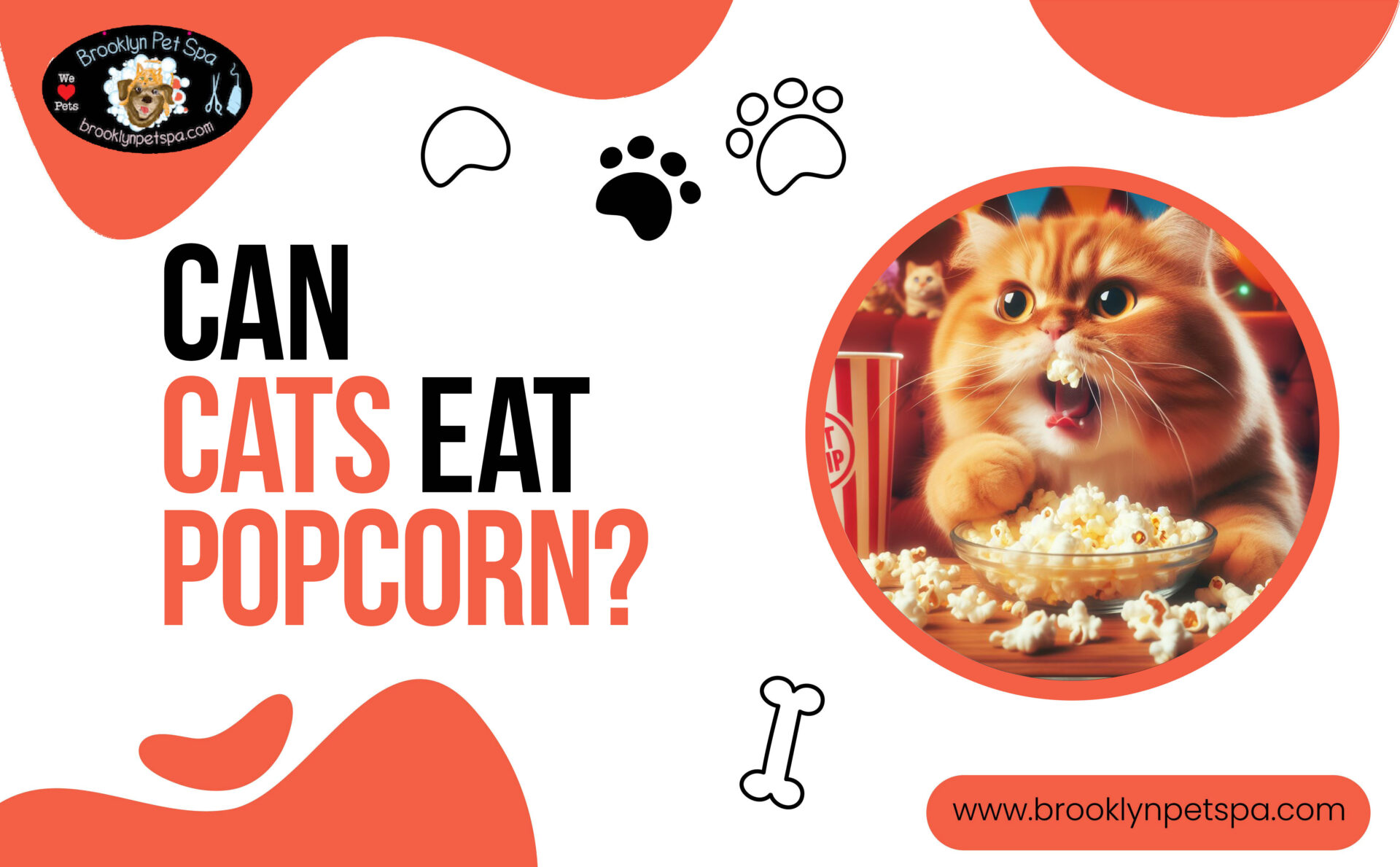 can cats eat popcorn