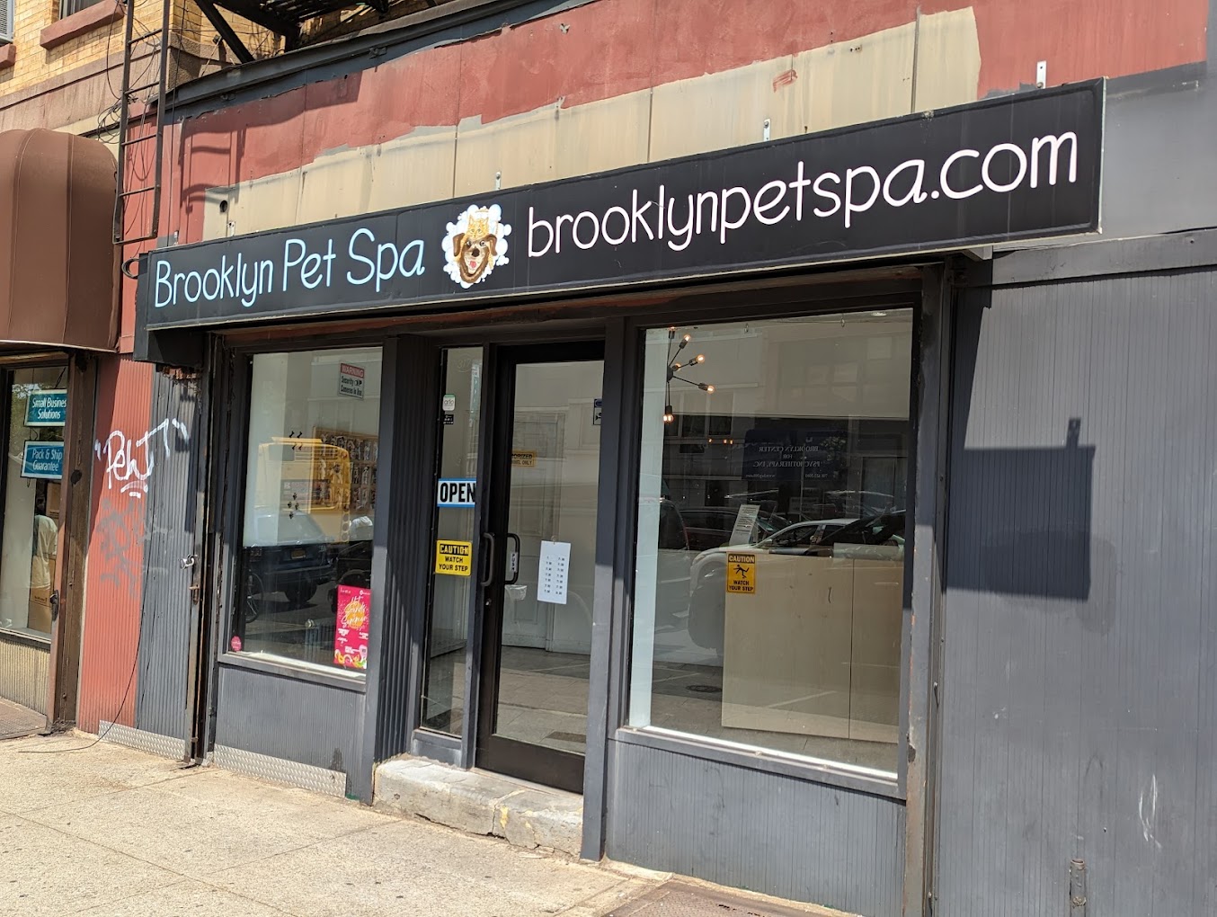 Read more about the article Experience Luxury Pet Care at Brooklyn Pet Spa in New York