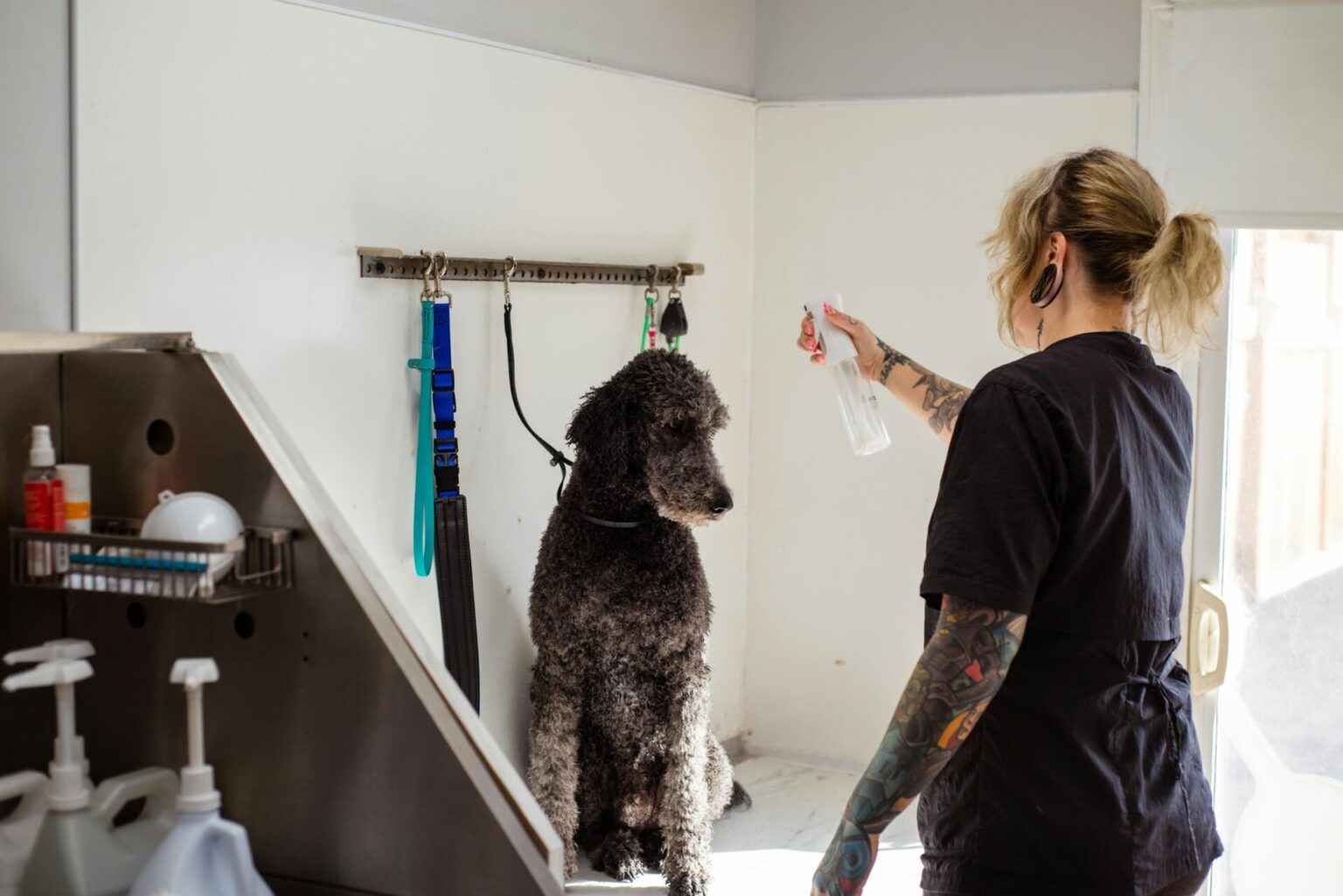 Finding the Best Dog Parlor Near Me: Your Guide to Brooklyn Pet Spa ...