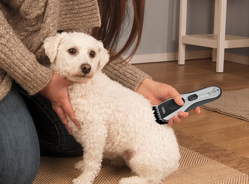 dog_grooming_clippers