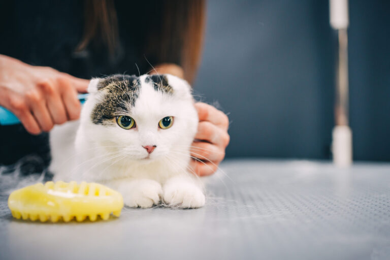 Pet Services | PetSmart