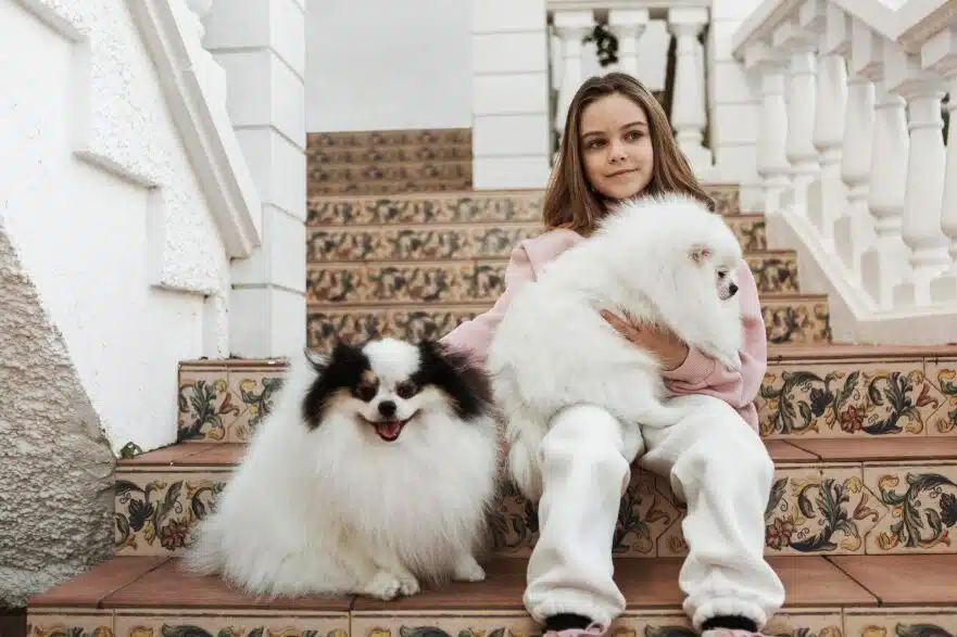 girl pups a girl with cute white pups sitting on the stairs
