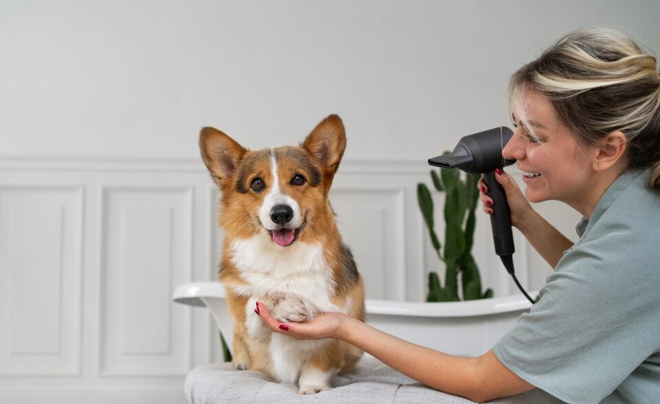 a woman washing a pet dog at home