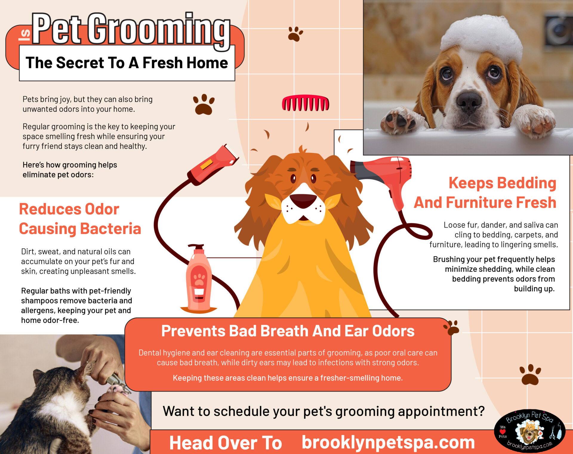 brooklynpetspa info 01