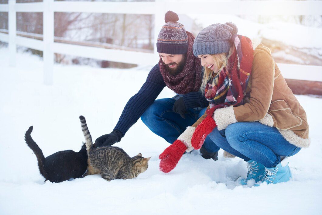 Cats In the snow outdoor 