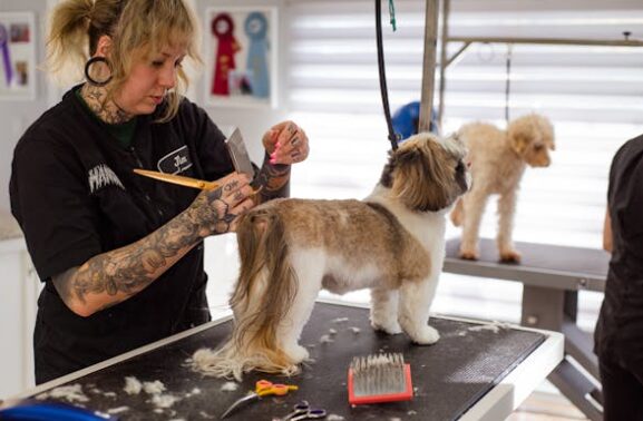 Dog groomer brushing a dog