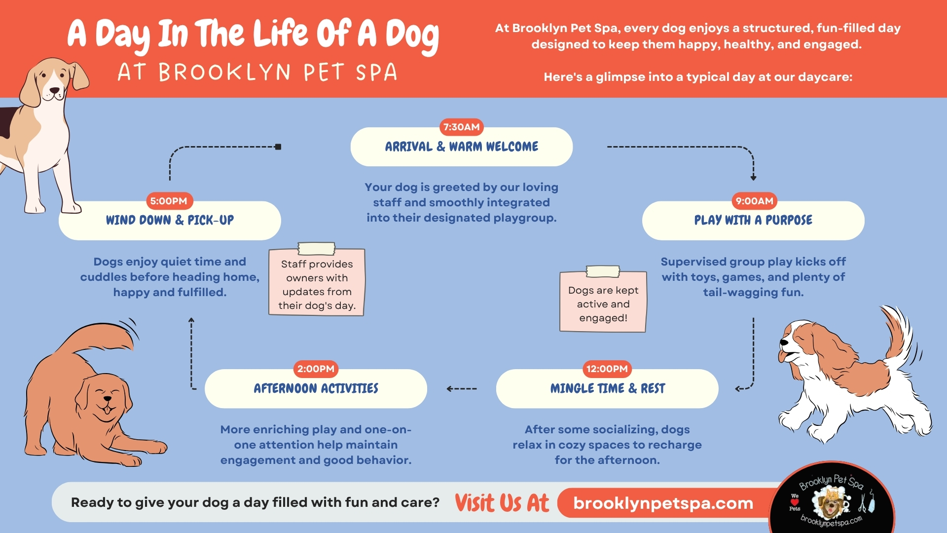 dog daycare