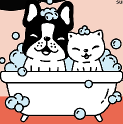 pet bathing