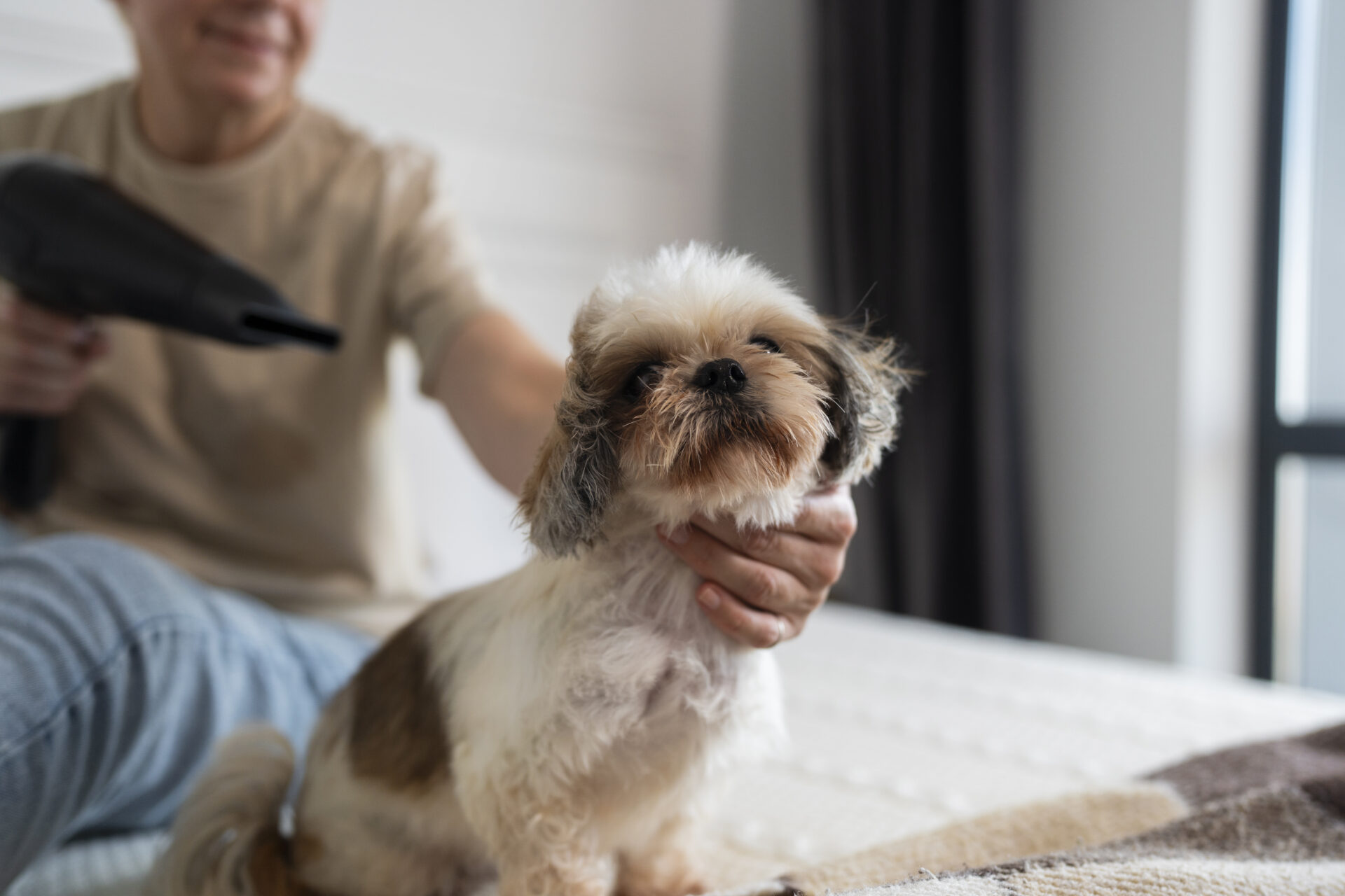 Best Pet Groomer in Park Slope