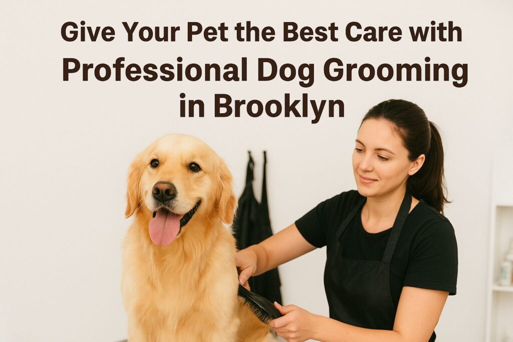 Smart Shopping Strategies for Economical Pet Grooming Supplies at ...