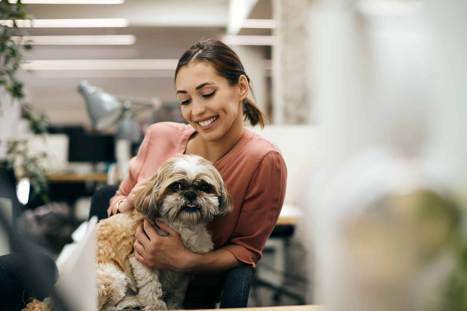 Read more about the article Keeping Brooklyn Pets Fresh Between Dog Baths and Grooming Visits