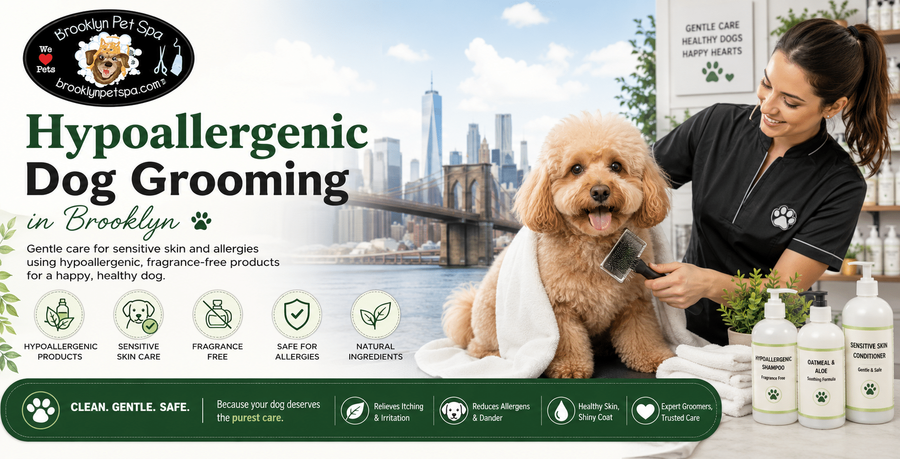 Hypoallergenic Dog Grooming in Brooklyn