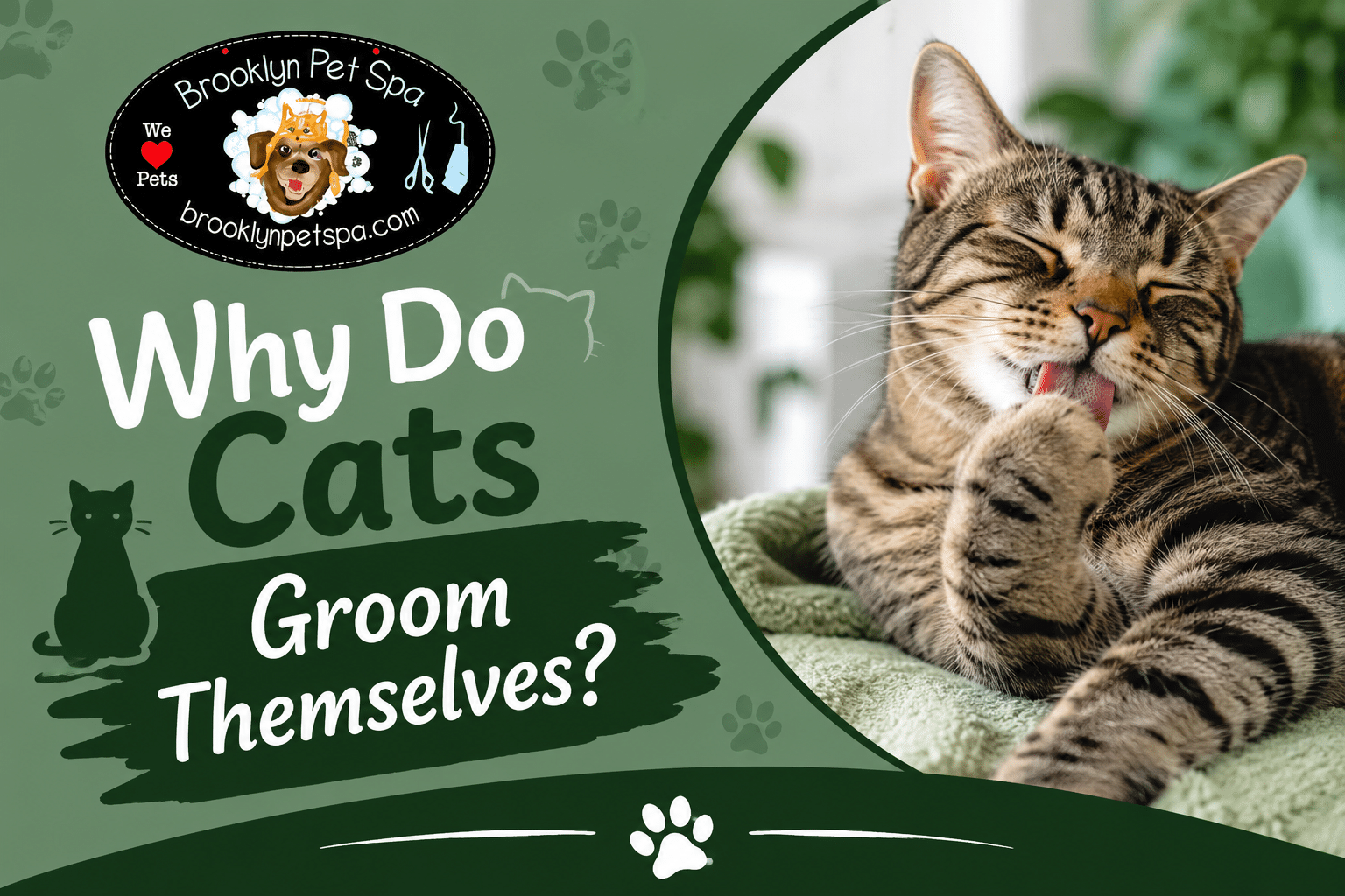 Read more about the article Why Do Cats Groom Themselves?