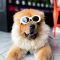 alan king 380383 unsplash
