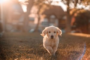 cristian castillo 73pyV0JJOmE unsplash scaled cristian castillo 73pyV0JJOmE unsplash scaled